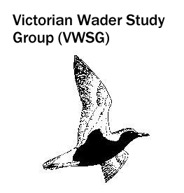 Victorian Wader Study Group