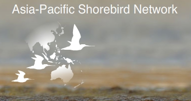 Asia Pacific Shorebird Network