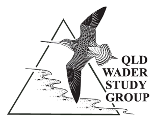 Queensland Wader Study Group